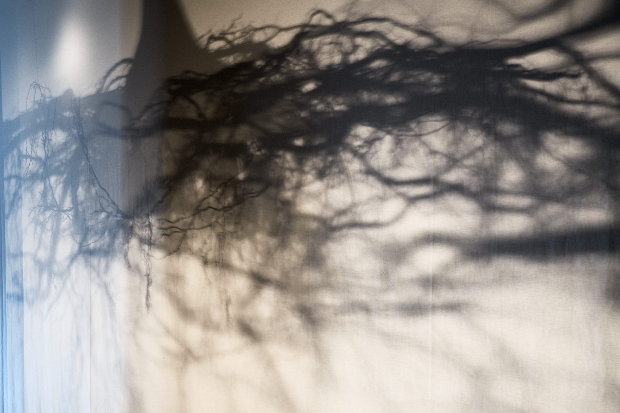 E16595 · Live Matter